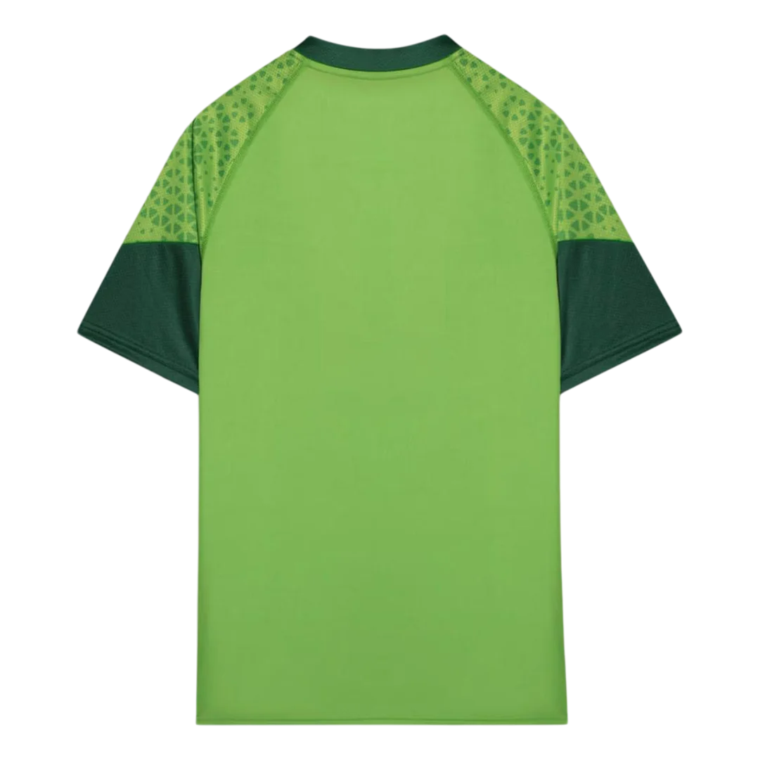 camisa-palmeiras-pre-jogo-24-25-torcedor-puma-masculina-verde