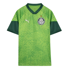 camisa-palmeiras-pre-jogo-24-25-torcedor-puma-masculina-verde