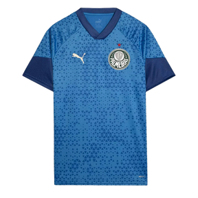 camisa-palmeiras-treino-24-25-torcedor-puma-masculina-azul