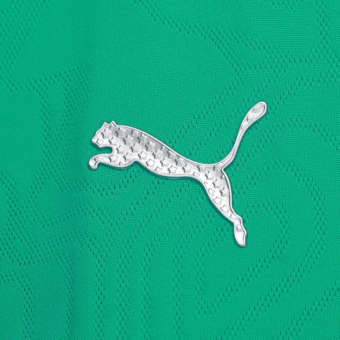 camisa-palmeiras-treino-25-26-torcedor-puma-feminina-verde-1