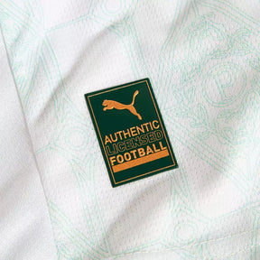 kit-infantil-palmeiras-ii-25-26-puma-branco-e-verde